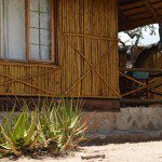 A wooden cabin with a bamboo facade, offering a tranquil and nature-immersed stay at Mountain View Lodge.