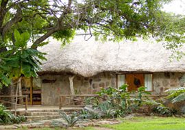 moho3