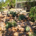 Rehab Gardens