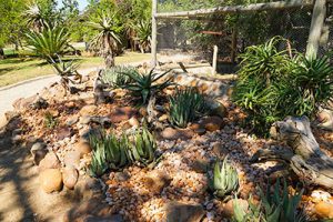 Rehab Gardens