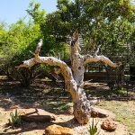 Rehab Gardens