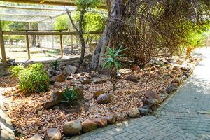 Rehab Gardens