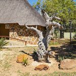 Rehab Gardens