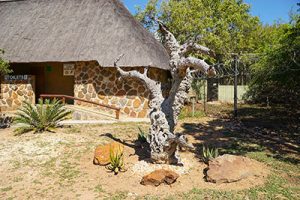 Rehab Gardens