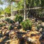 Rehab Gardens