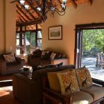 A sunlit lounge at Moholoholo Forest Camp with rustic wooden furniture, large windows, and a seamless outdoor connection.
