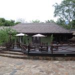 Charming outdoor deck at Moholoholo Forest Camp with wooden furniture, shaded umbrellas, and a peaceful natural backdrop.