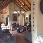 A welcoming lounge at Moholoholo Forest Camp featuring thatched roofing, warm lighting, and comfortable seating in a safari setting.