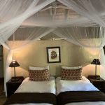 Elegant bedroom at Moholoholo Forest Camp featuring twin beds, soft lighting, and a mosquito net canopy for a cosy safari experience.