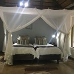 Luxury twin-bed suite at Moholoholo Forest Camp with soft draped mosquito nets, rustic décor, and a nature-inspired interior design.